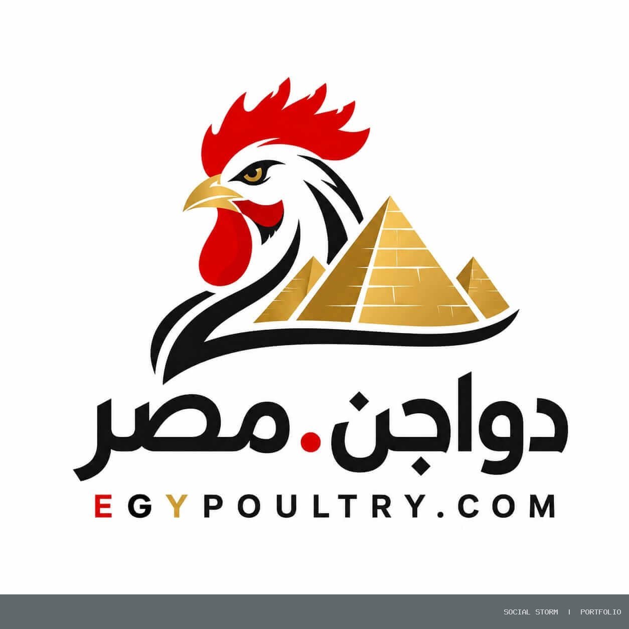 دواجن مصر | Egypoultry.com