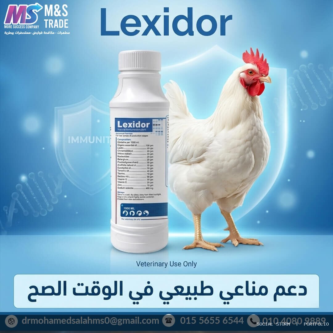 تطوير المحتوى والتصميمات التسويقية لشركة M&S Trade البيطرية - M&S Trade | More Success Company - Social Storm