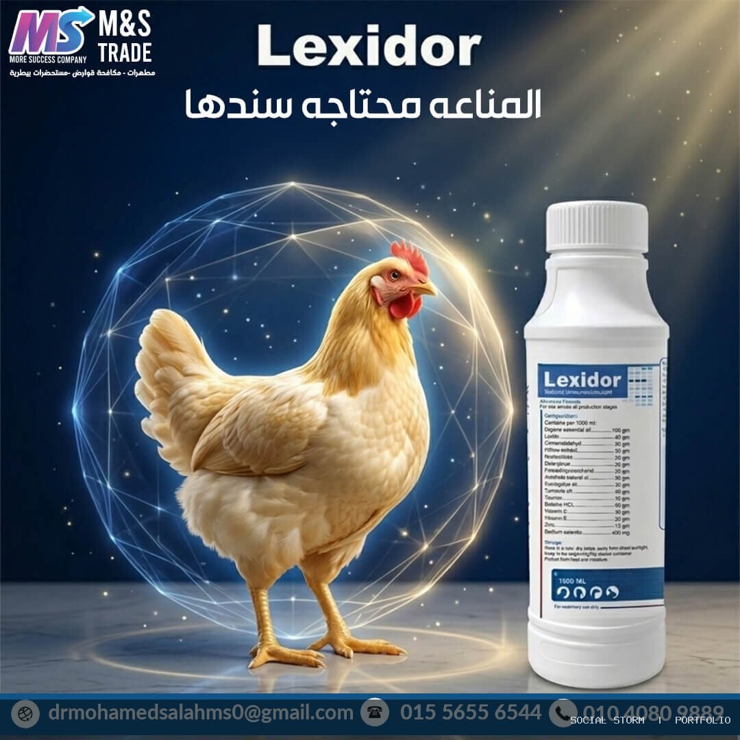 تطوير المحتوى والتصميمات التسويقية لشركة M&S Trade البيطرية - M&S Trade | More Success Company - Social Storm