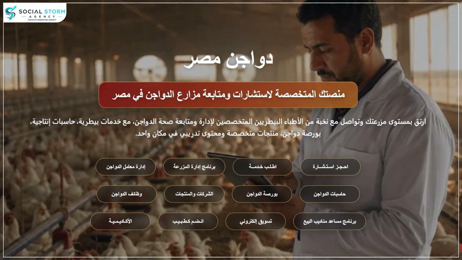 Social Storm  Marketing Agency